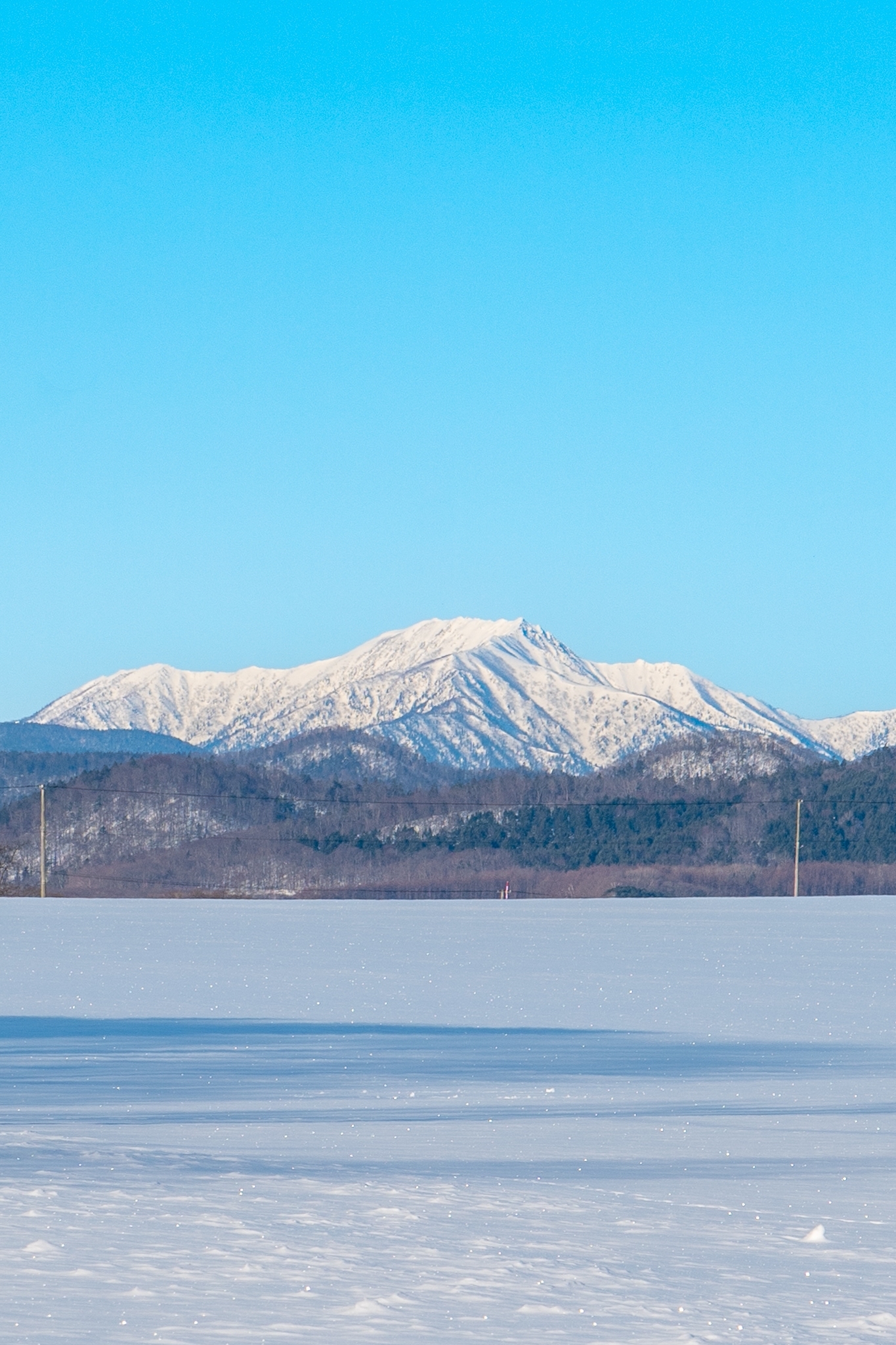 温根湯の丘から望む冬の大雪山系