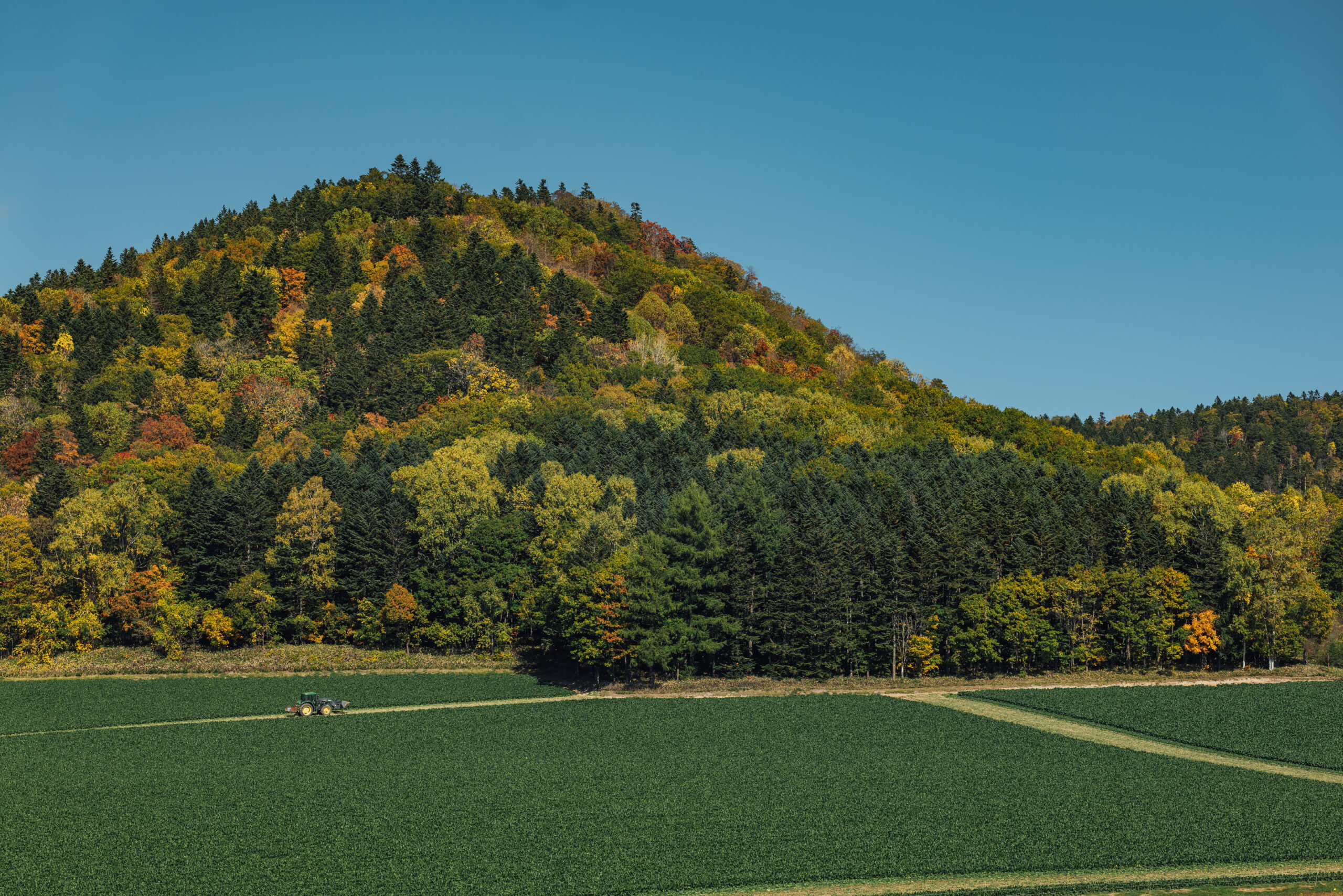 北海道の山々が色づく秋の景色