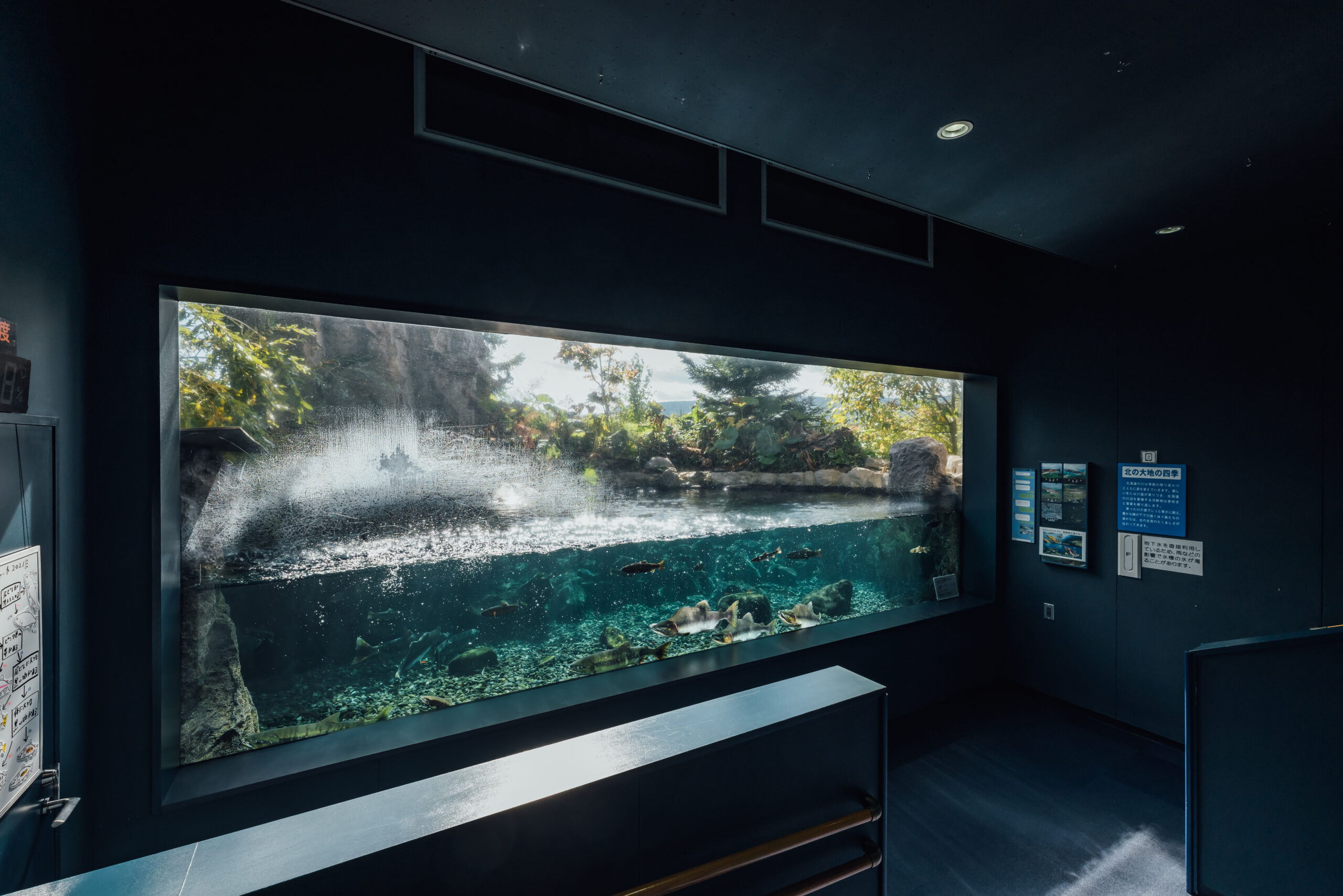 北の大地の水族館の四季の水槽
